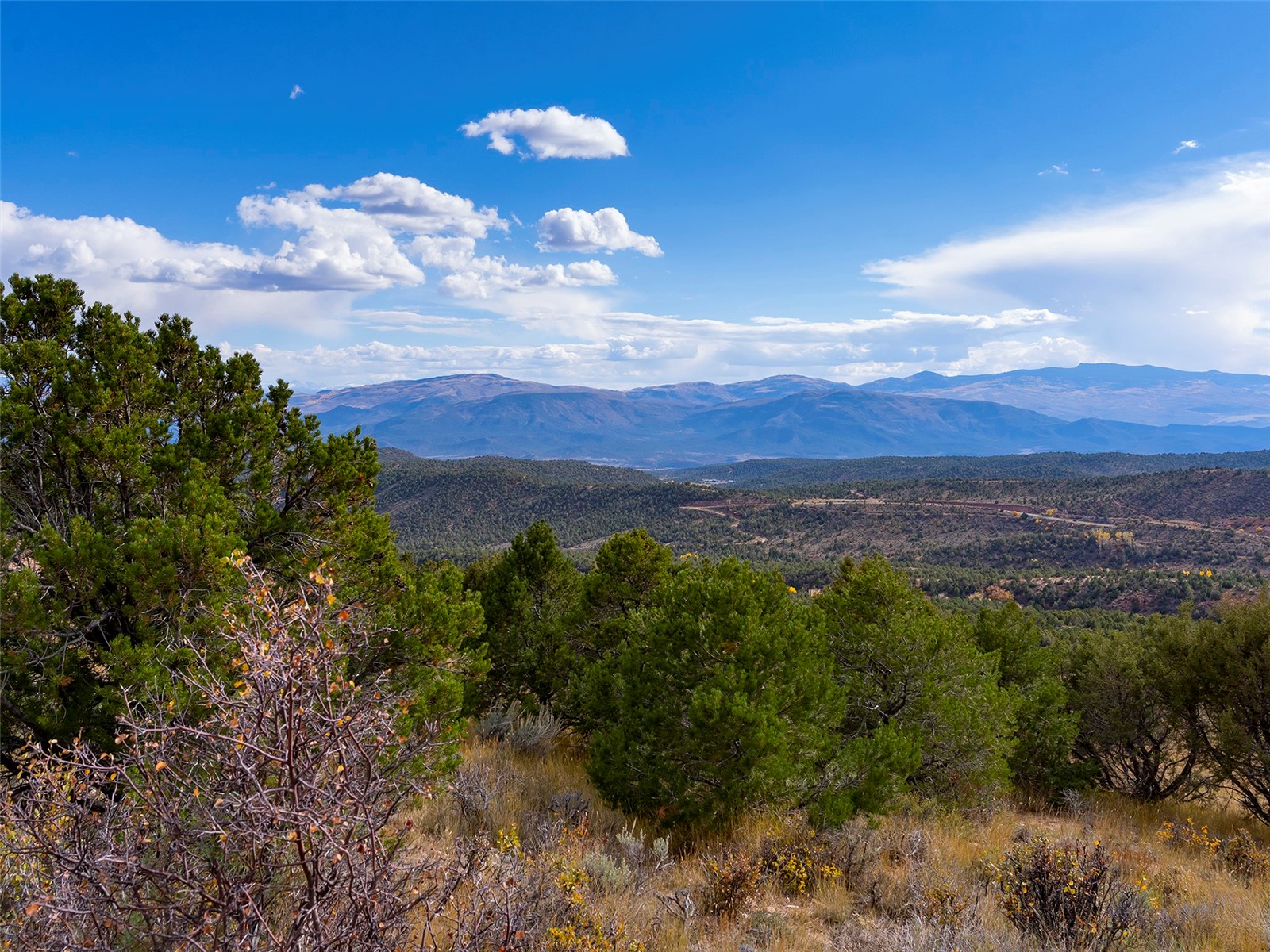 0000 State Highway 131 Property Photo 1