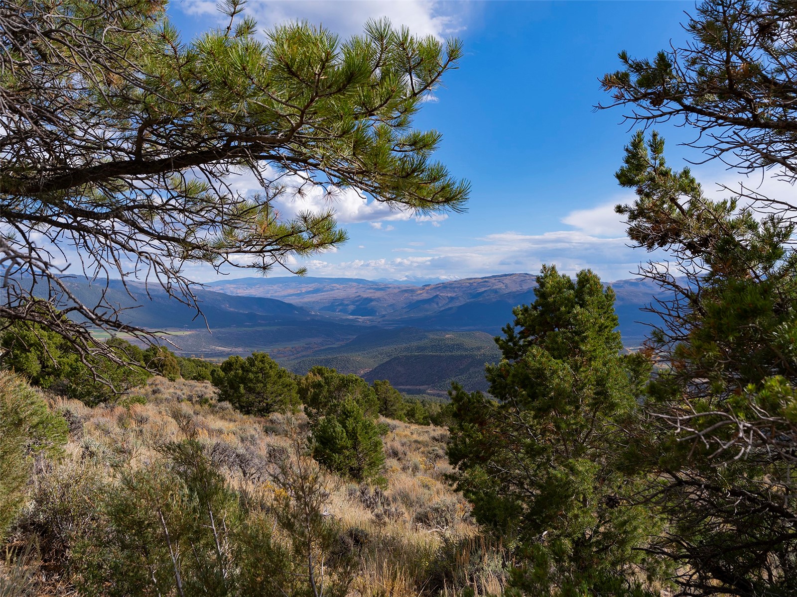 0000 State Highway 131 Property Photo 6