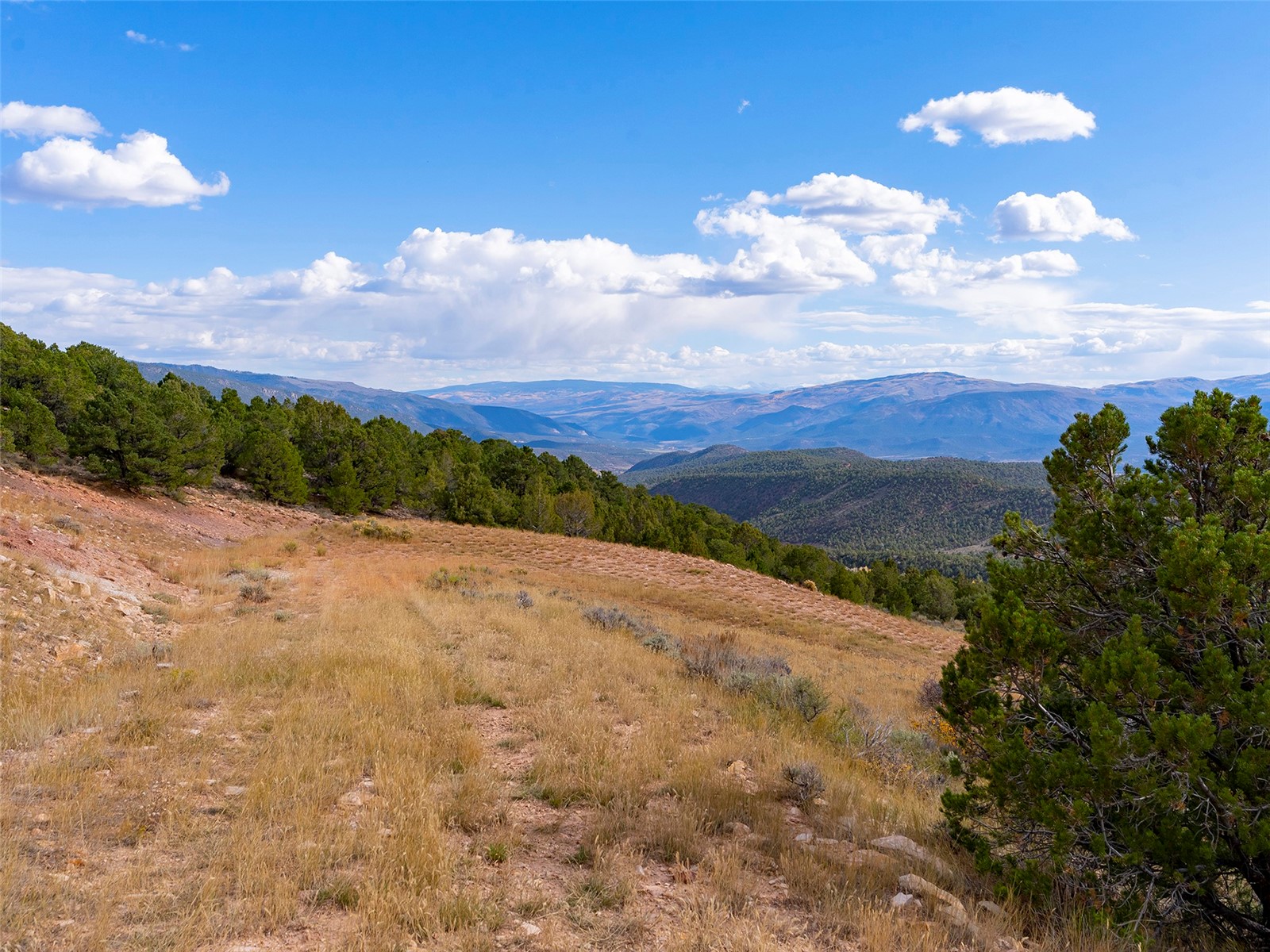 0000 State Highway 131 Property Photo 9