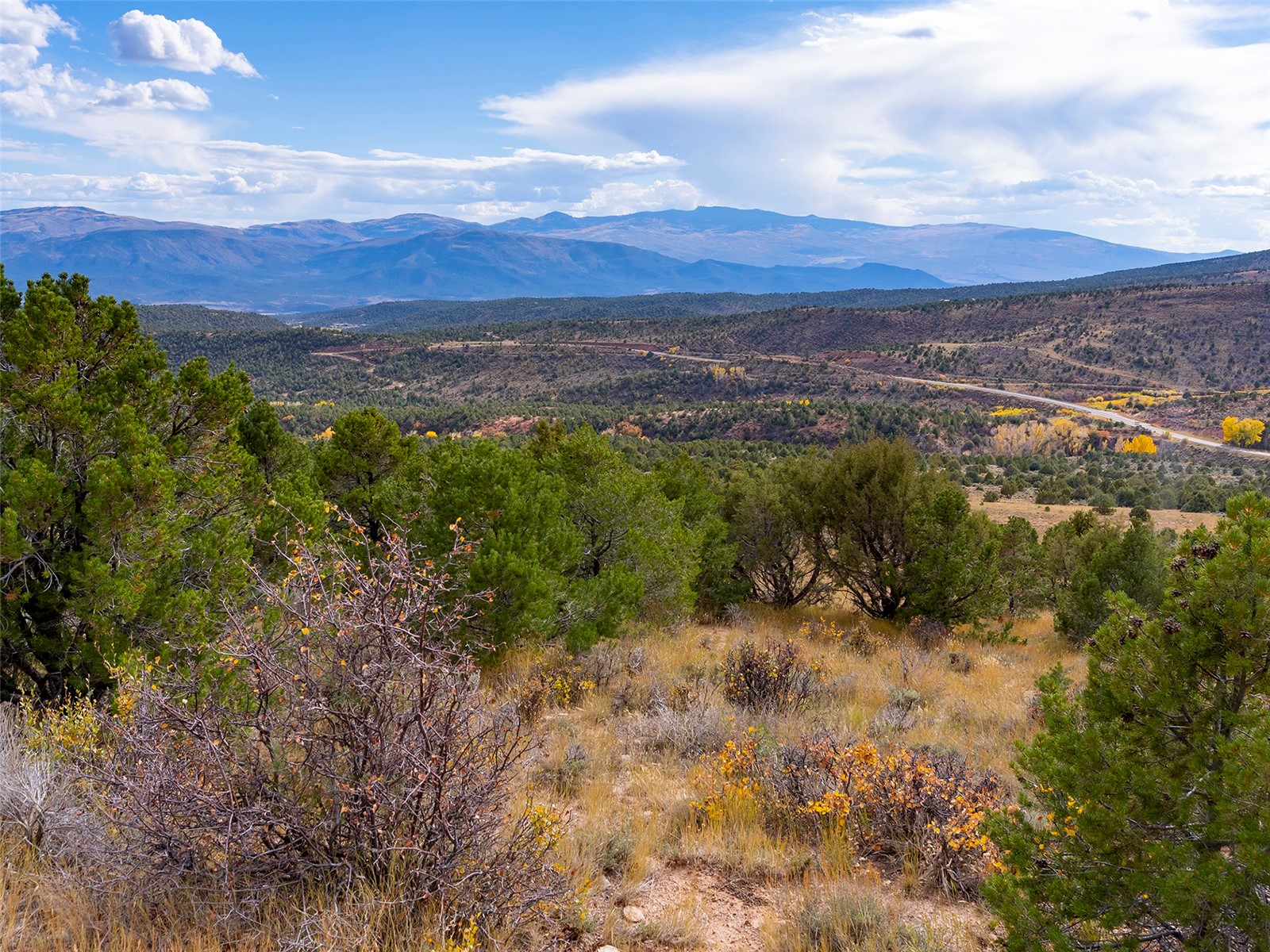 0000 State Highway 131 Property Photo 10