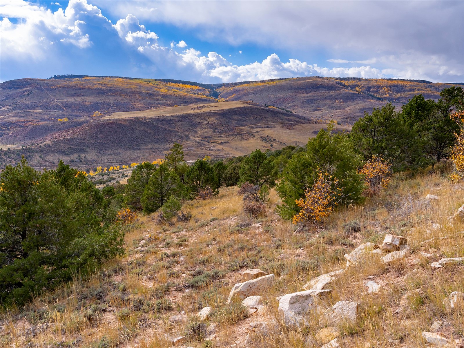 0000 State Highway 131 Property Photo 11