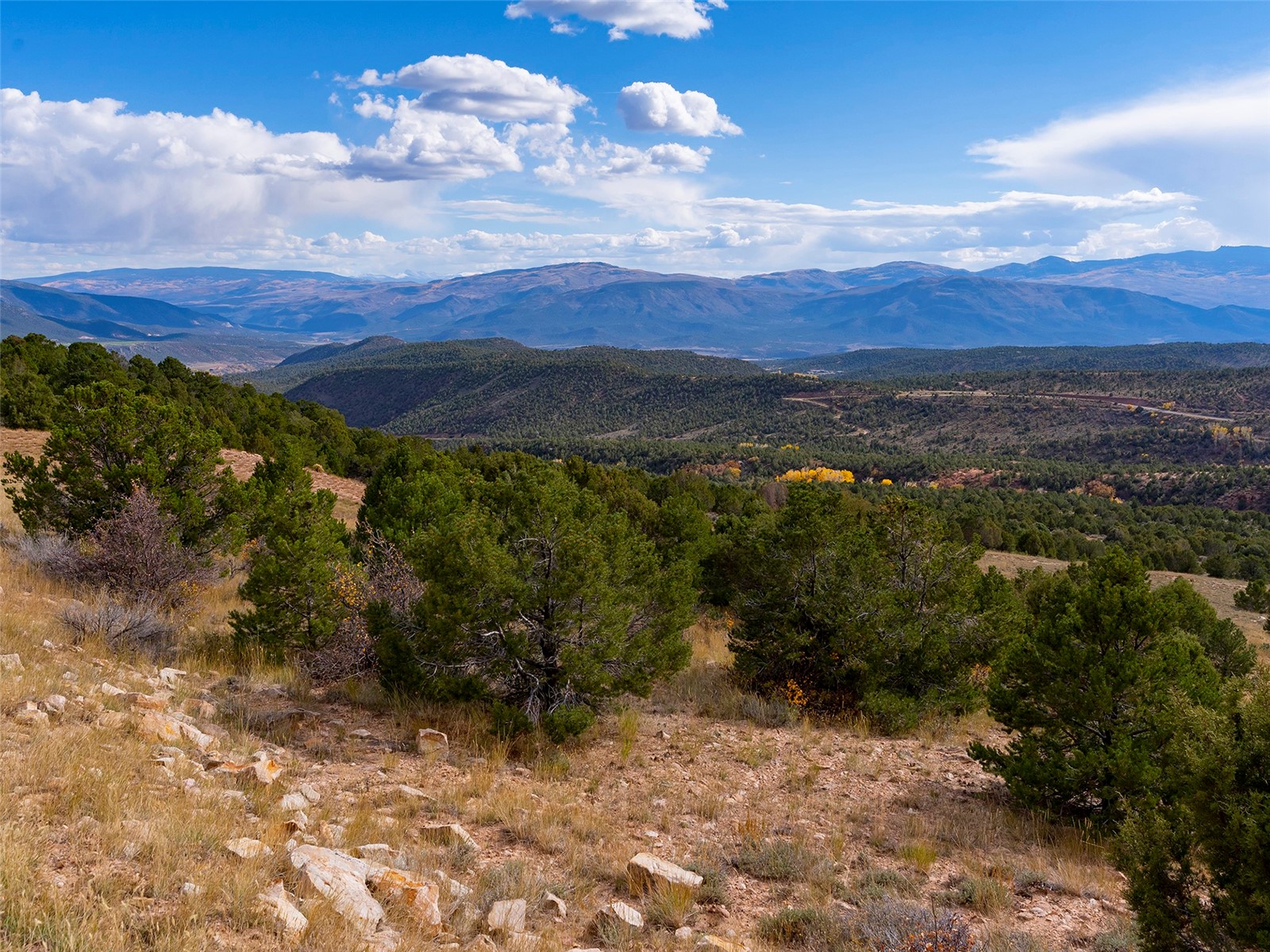 0000 State Highway 131 Property Photo 12