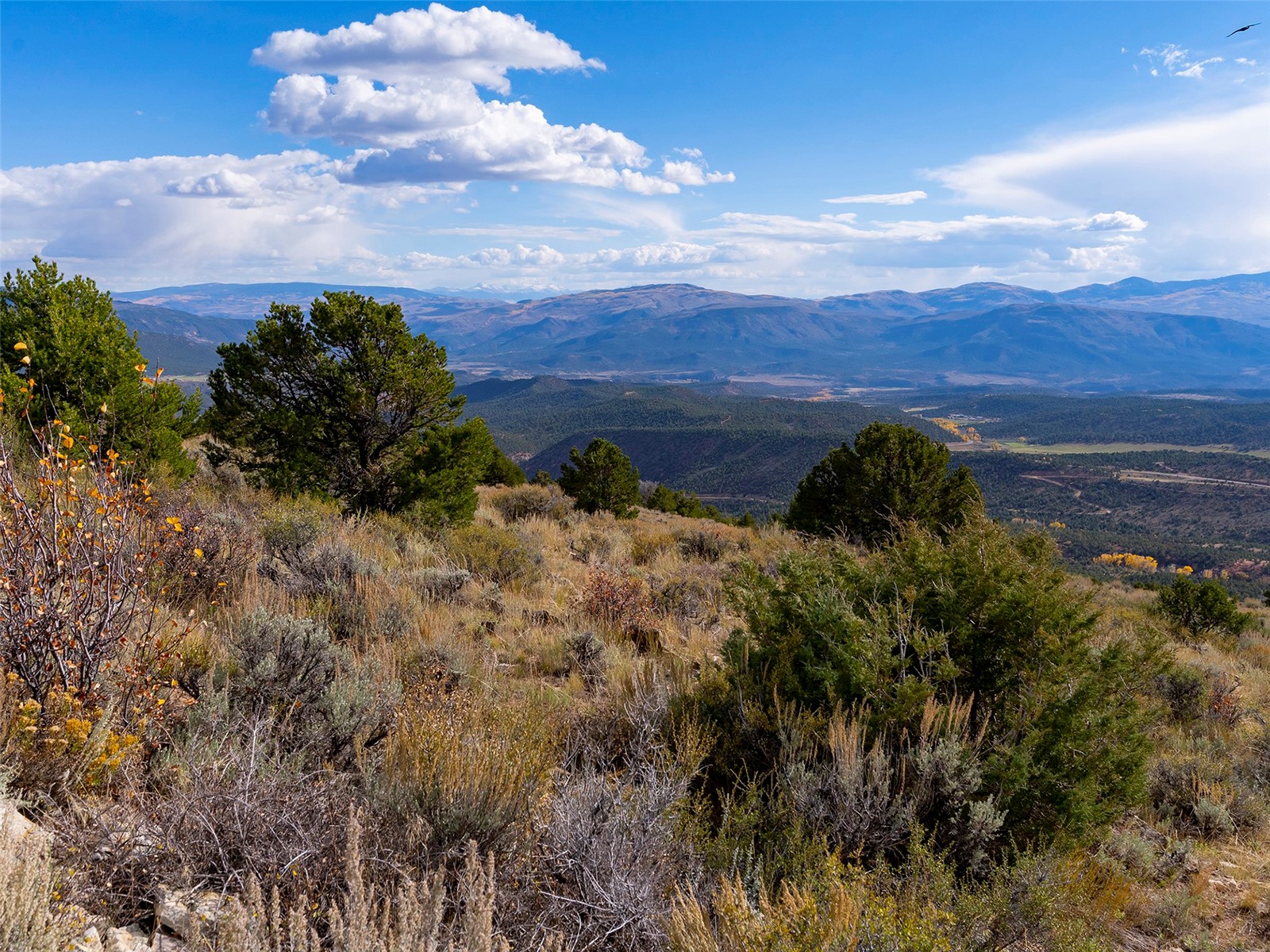 0000 State Highway 131 Property Photo 14