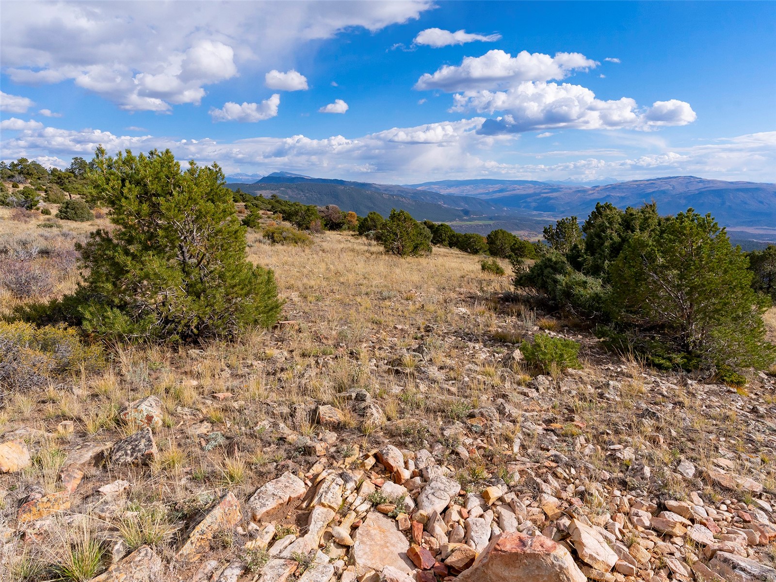 0000 State Highway 131 Property Photo 15