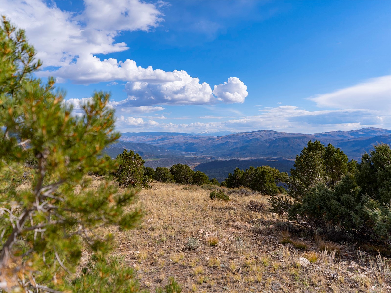 0000 State Highway 131 Property Photo 16