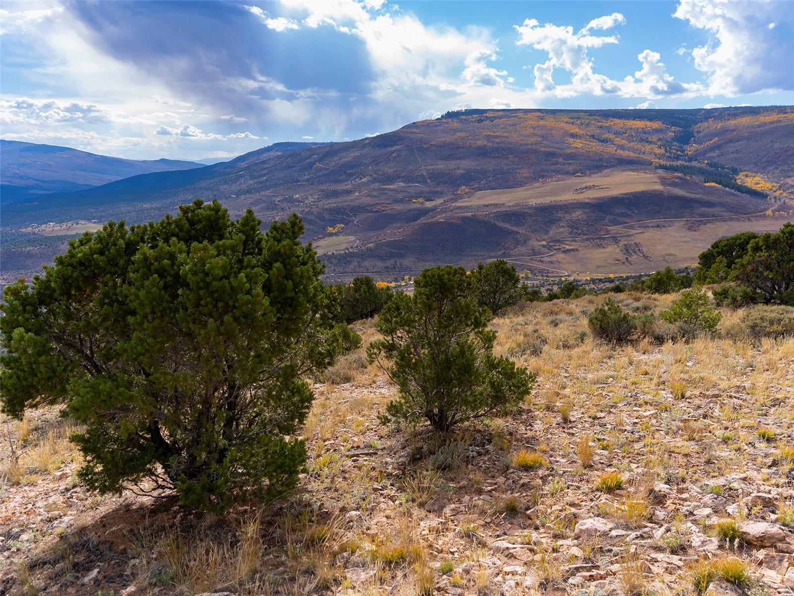 0000 State Highway 131 Property Photo 17