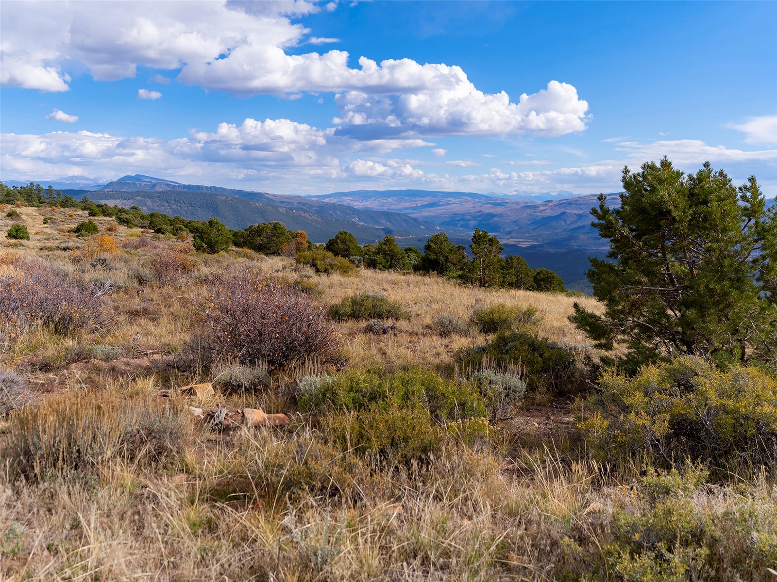 0000 State Highway 131 Property Photo 18