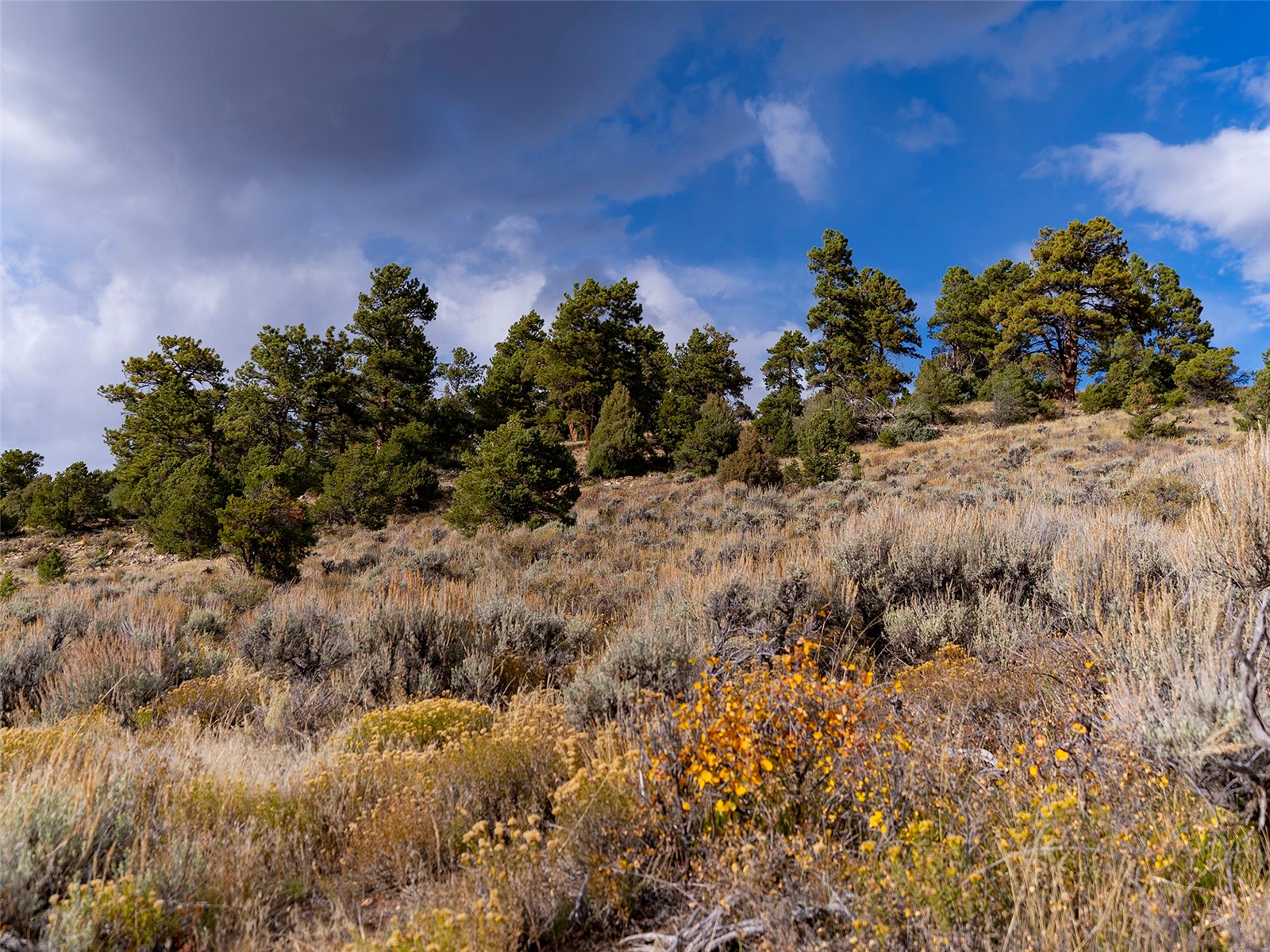 0000 State Highway 131 Property Photo 19