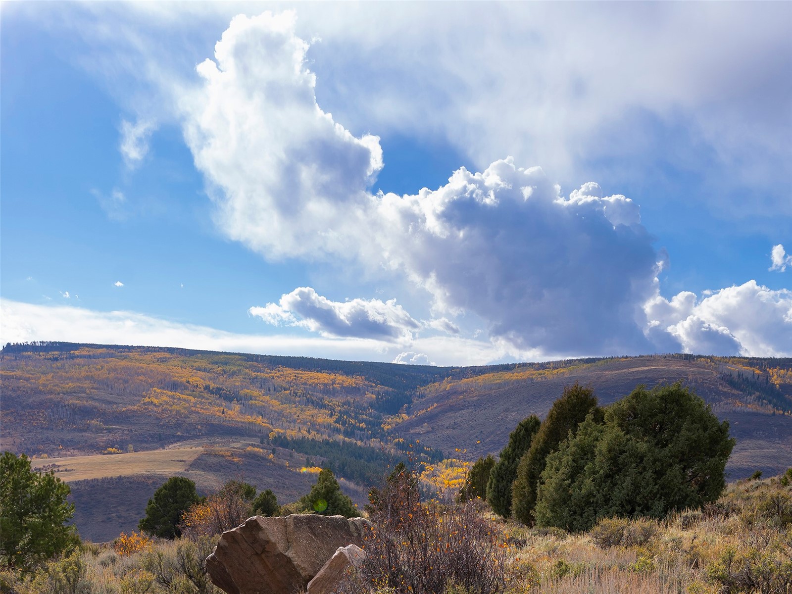 0000 State Highway 131 Property Photo 20