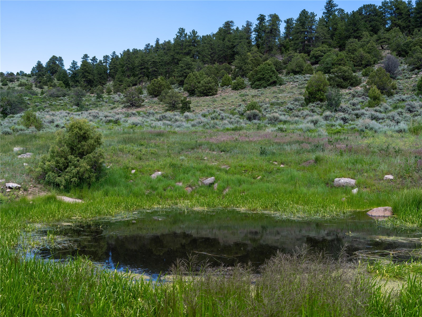 0000 State Highway 131 Property Photo 29