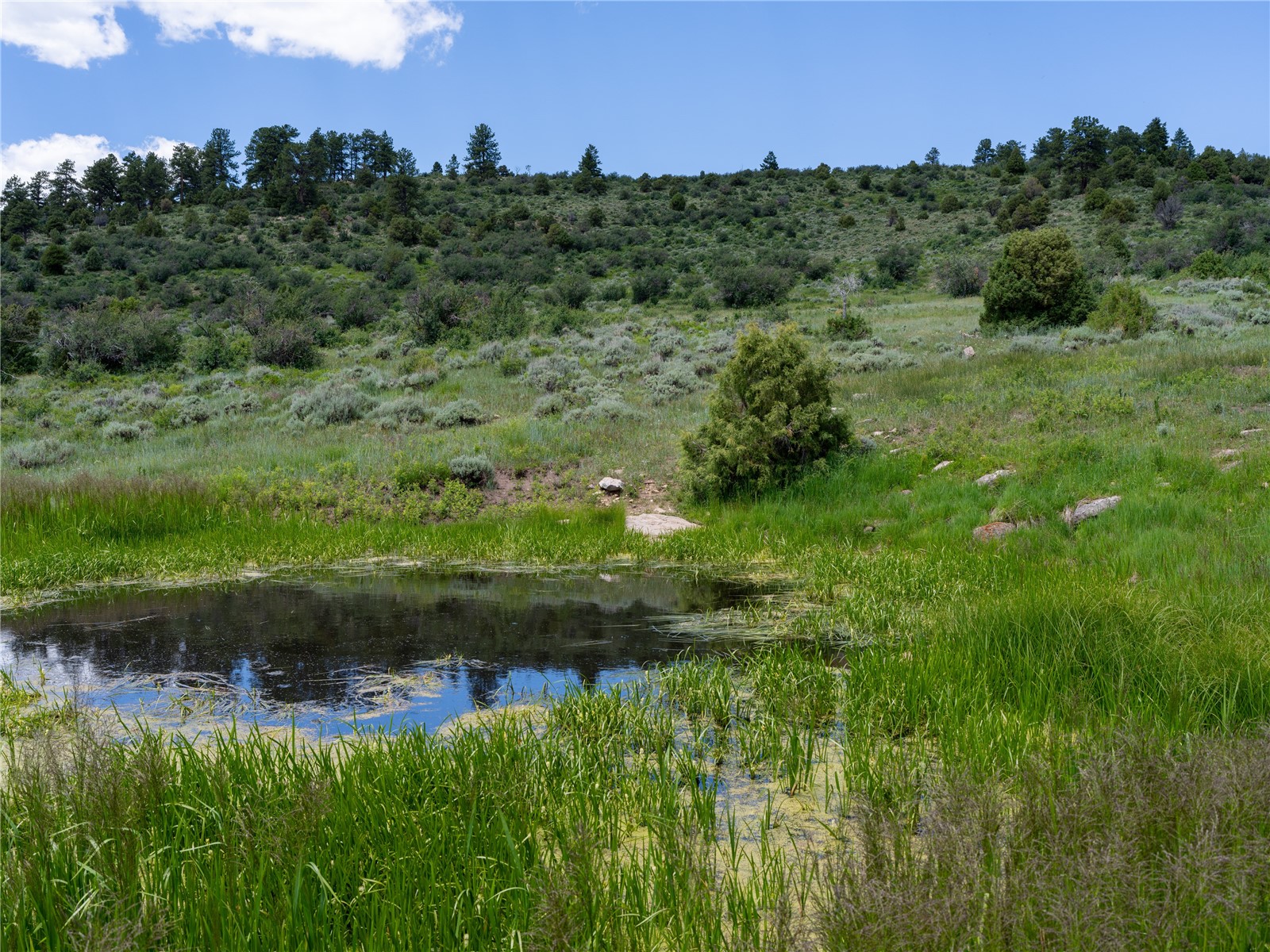 0000 State Highway 131 Property Photo 31