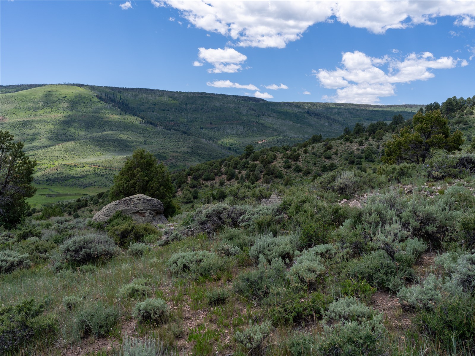 0000 State Highway 131 Property Photo 32