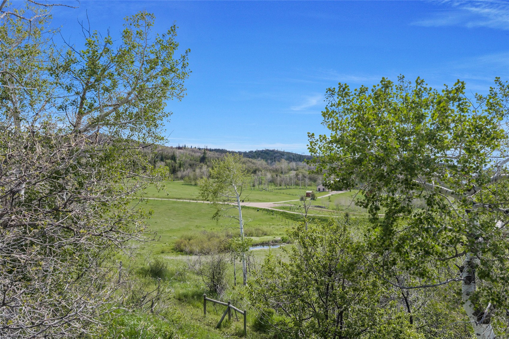 27055 Whitewood Drive E Property Photo 4