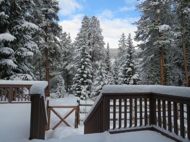 464 Wilderness Drive Property Photo 16