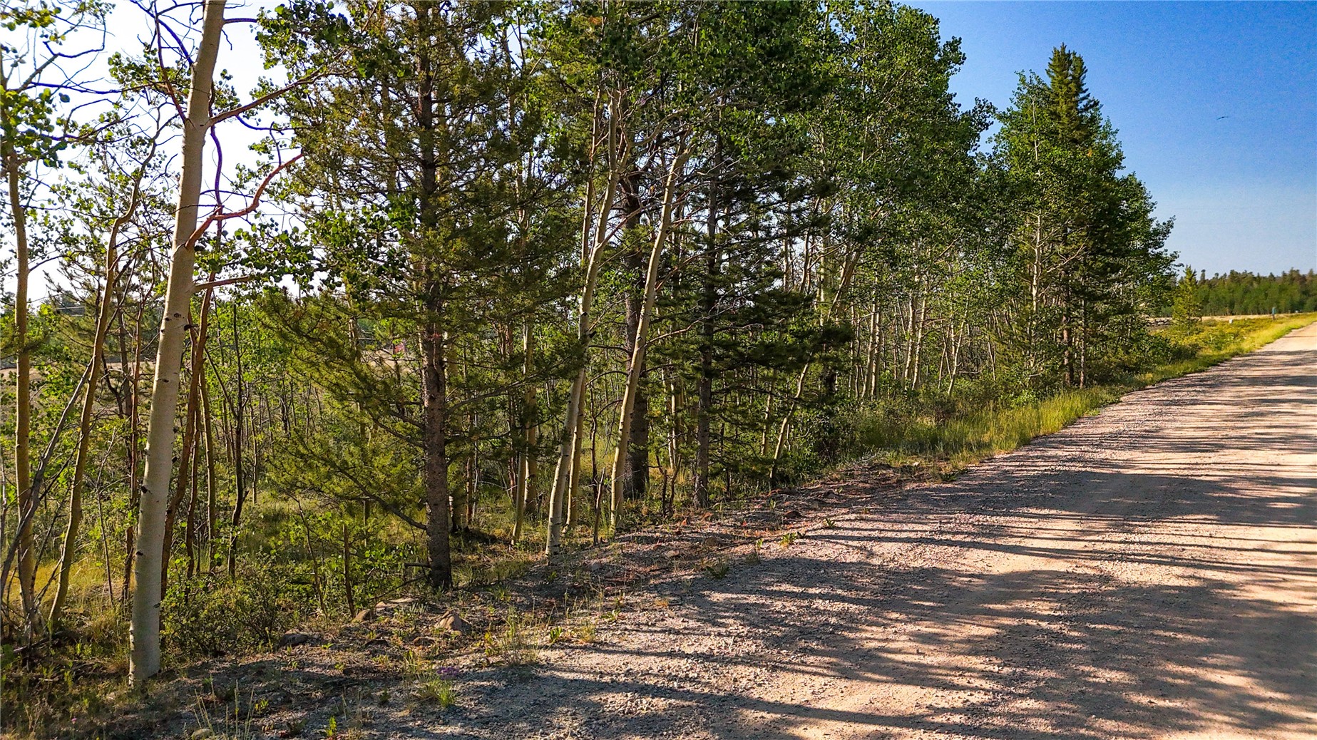 Tbd Bluestem Way Property Photo 13
