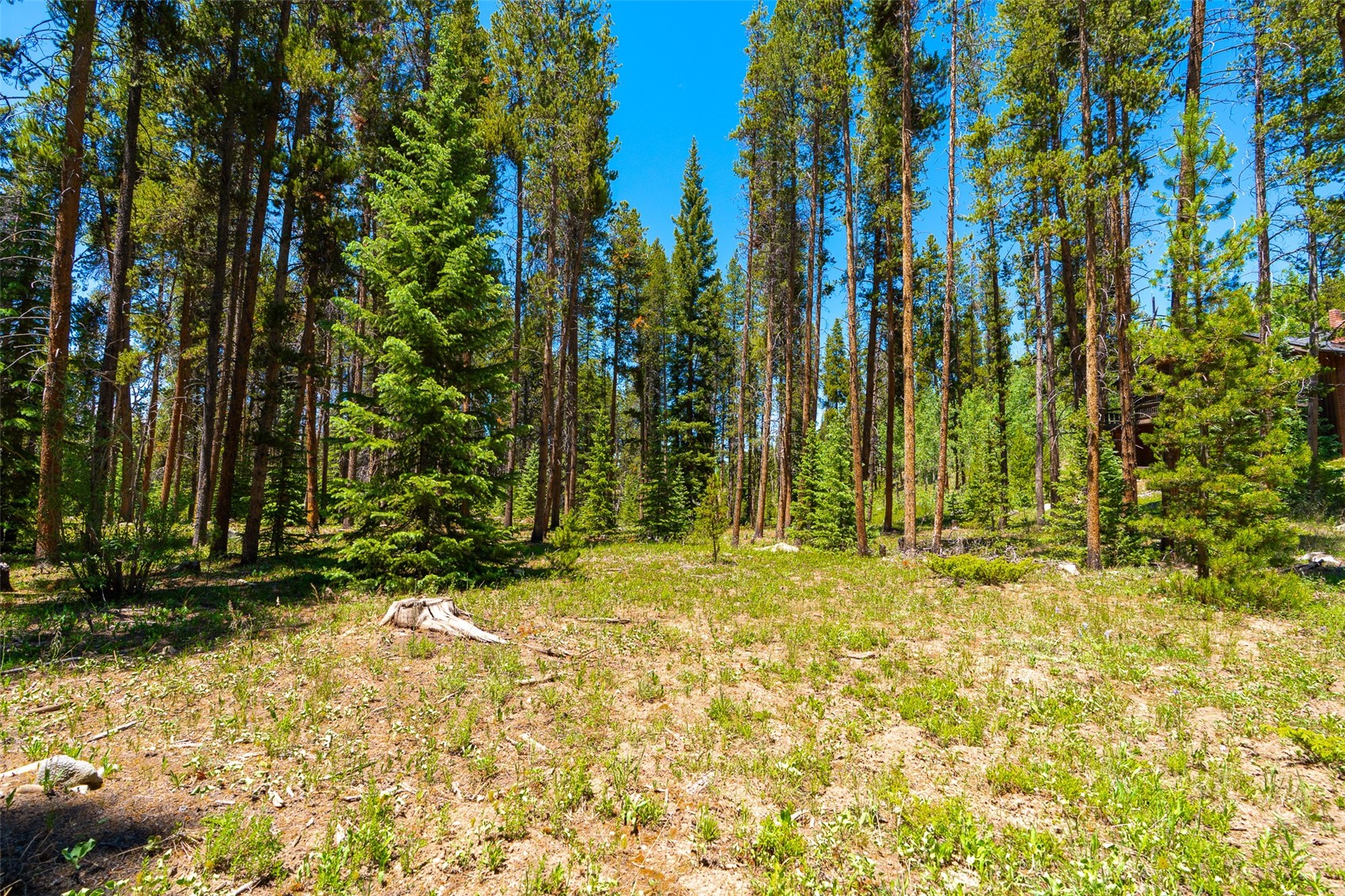 277 Wagon Road Property Photo 39
