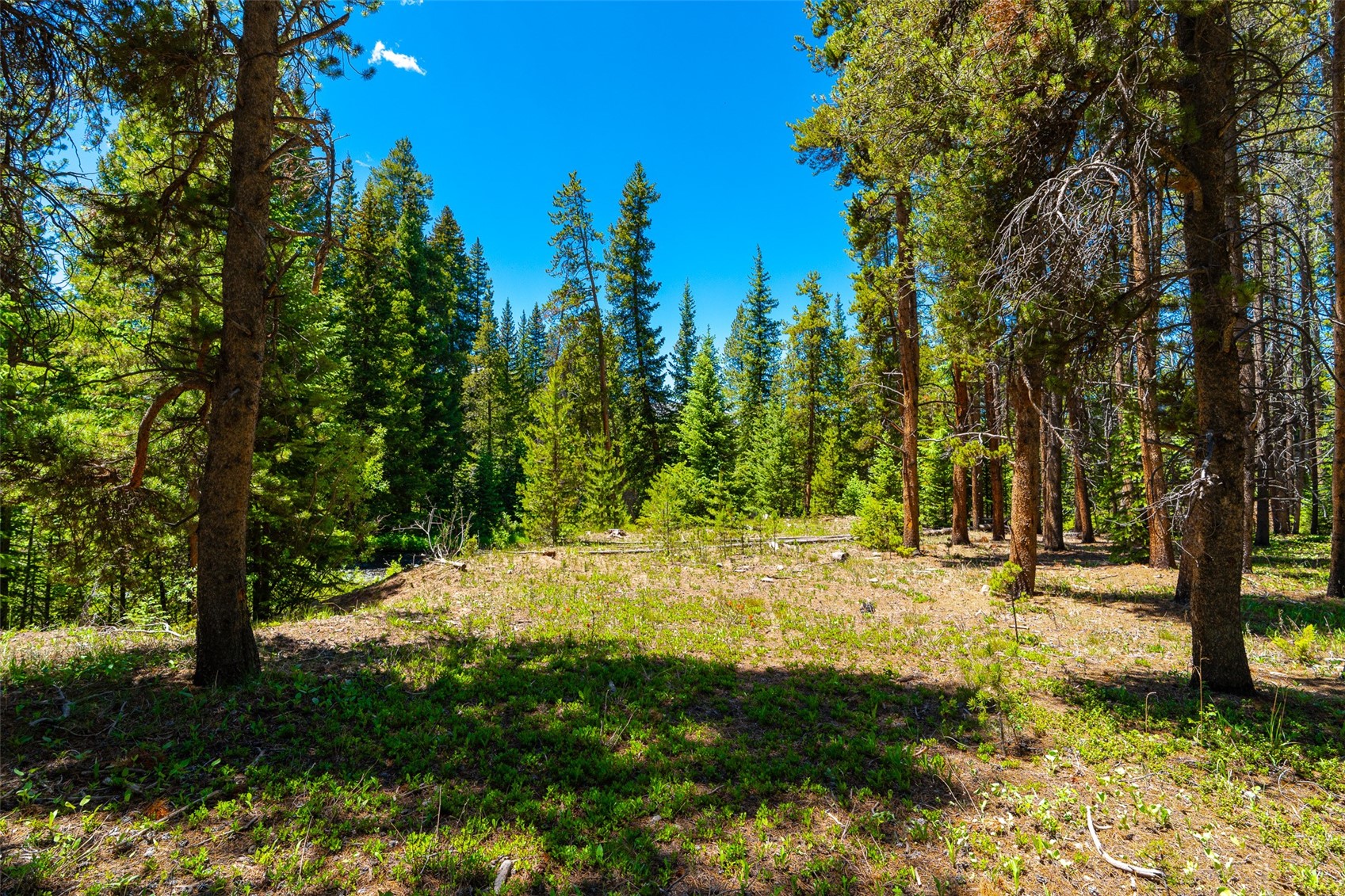 277 Wagon Road Property Photo 43