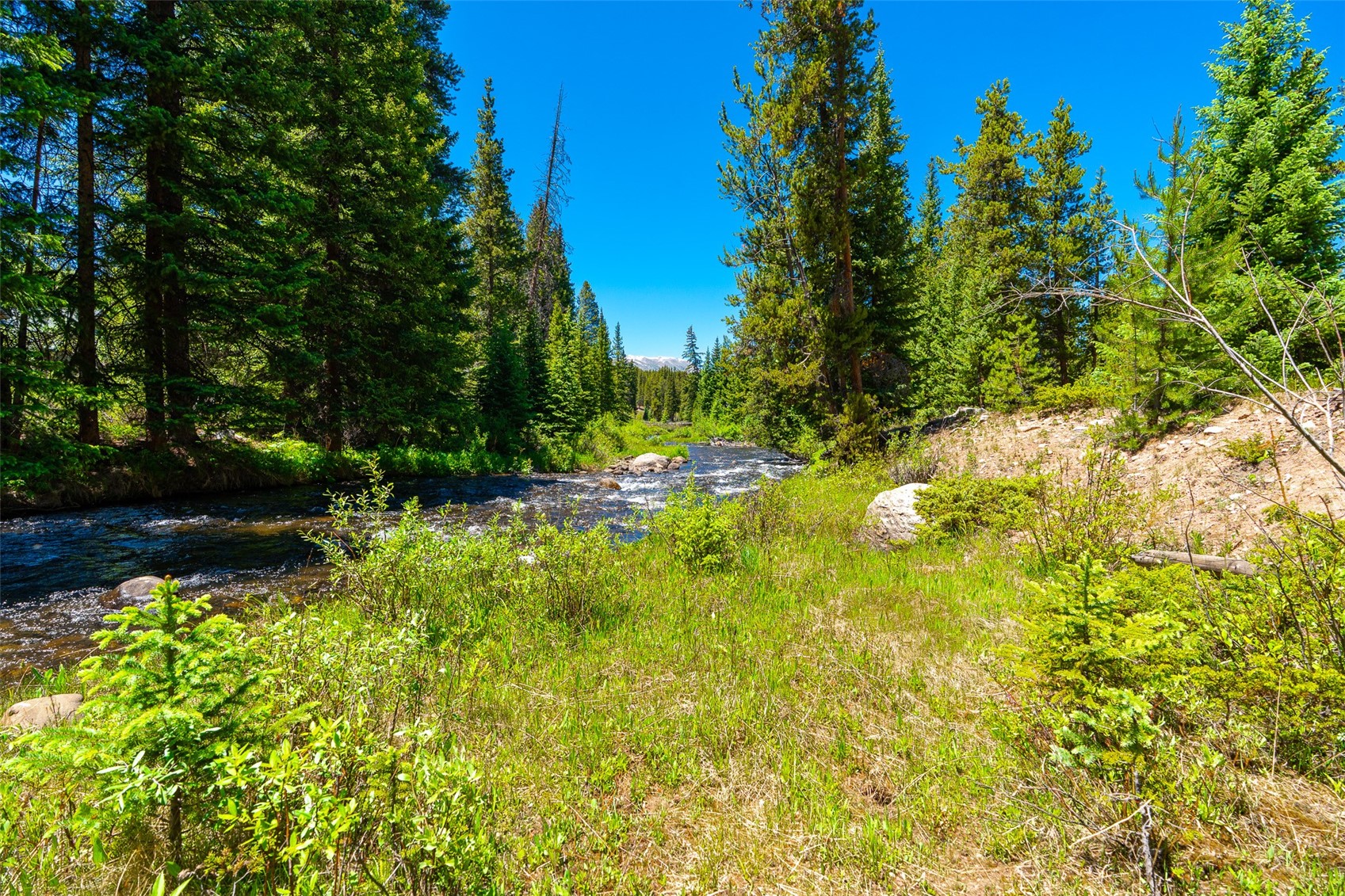 277 Wagon Road Property Photo 44