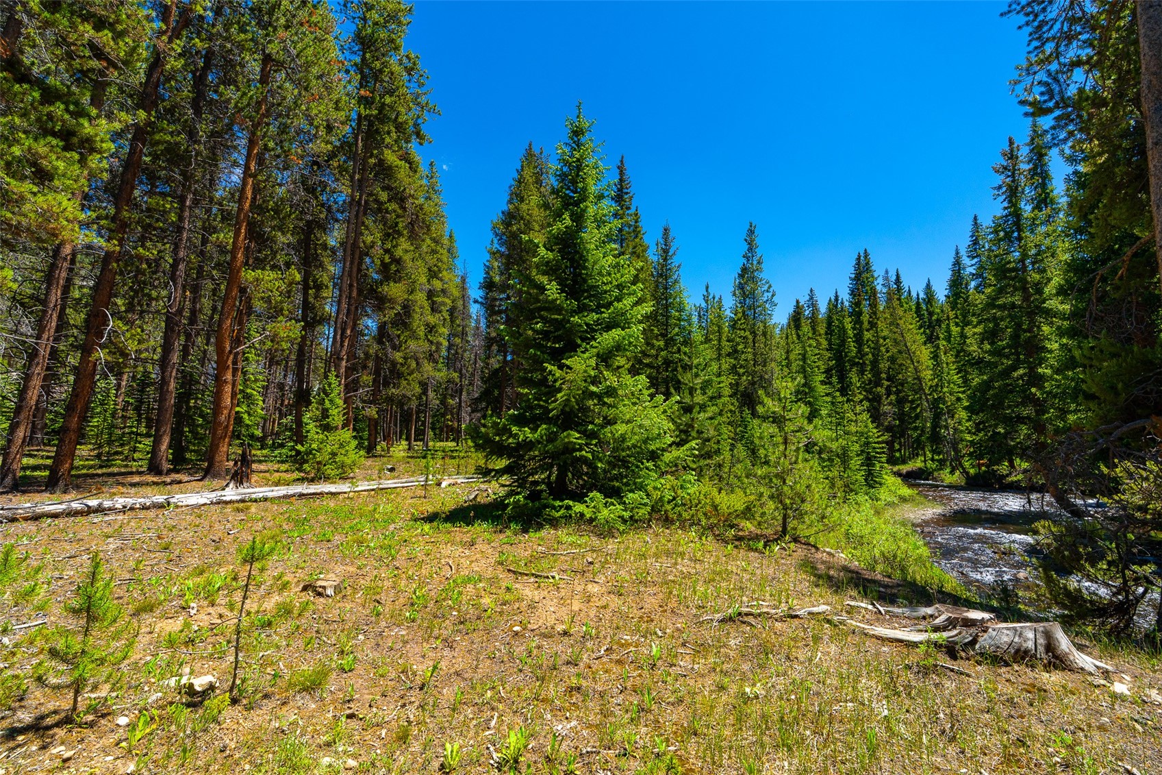 277 Wagon Road Property Photo 47
