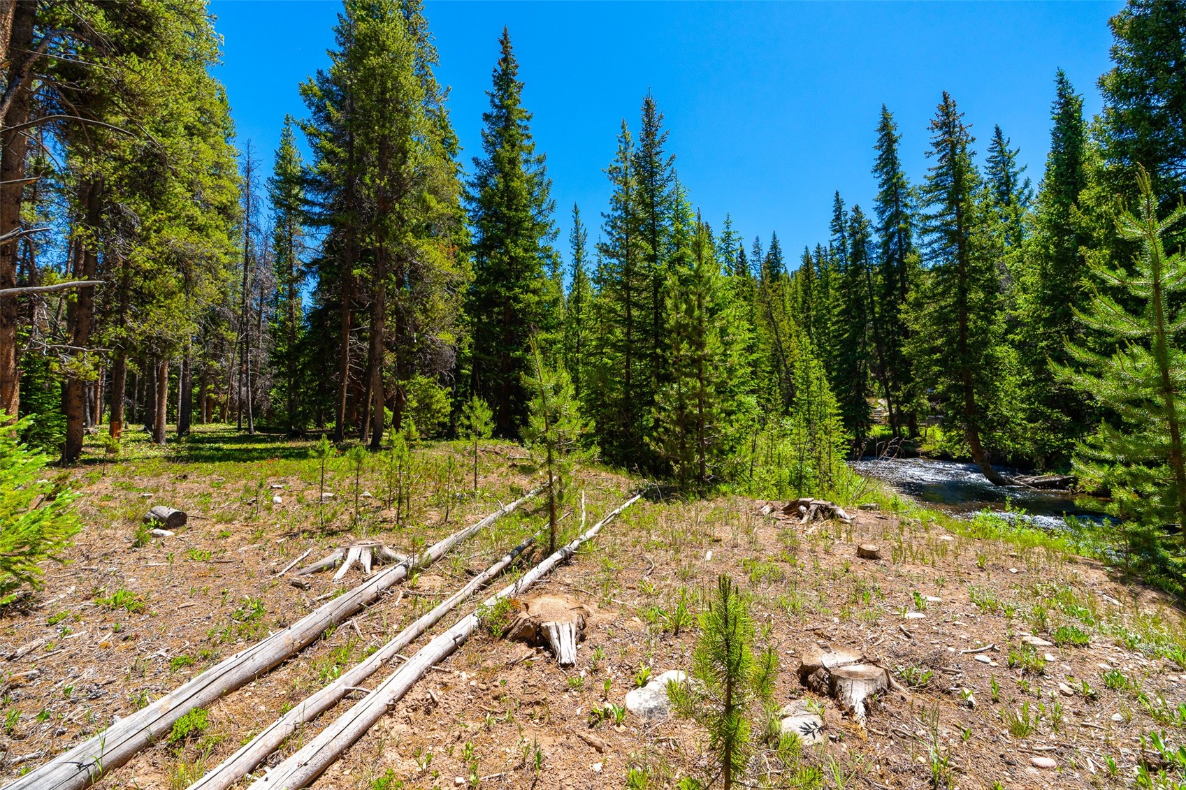 277 Wagon Road Property Photo 48