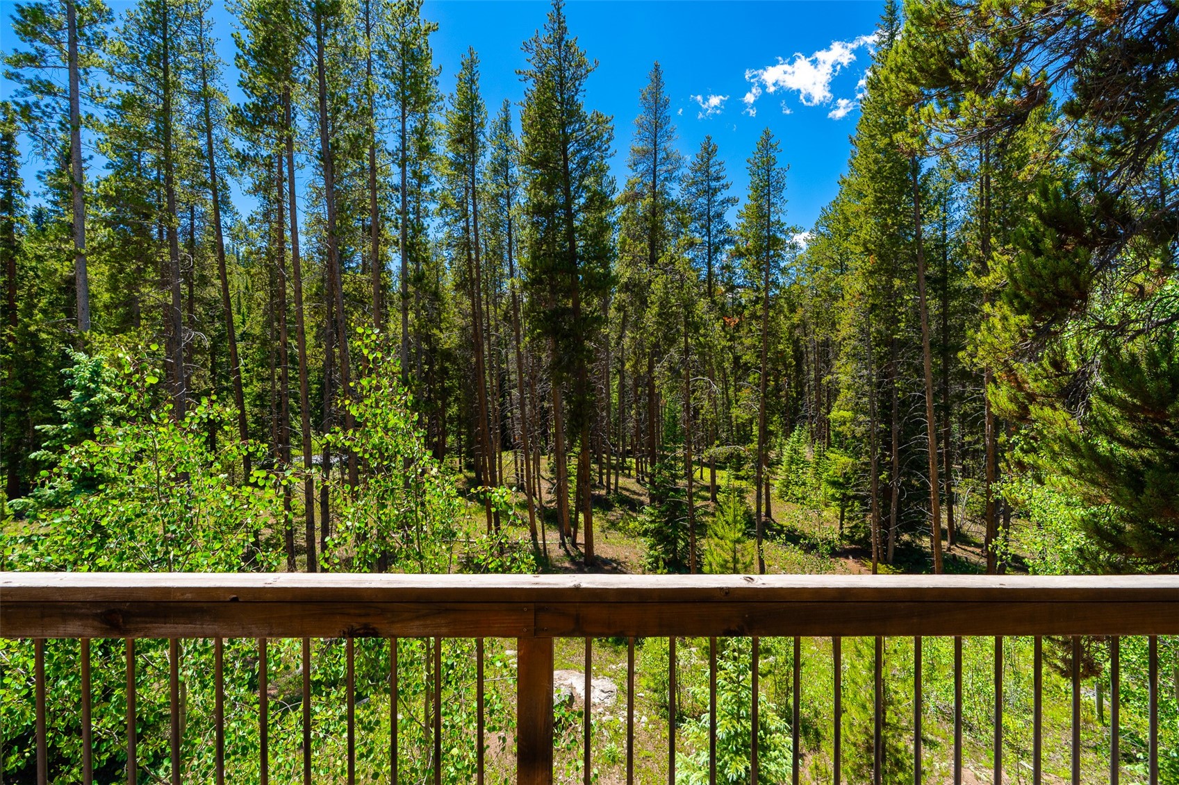 277 Wagon Road Property Photo 49
