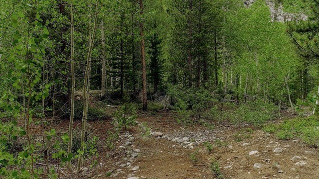 175 Pine Drive Property Photo 8