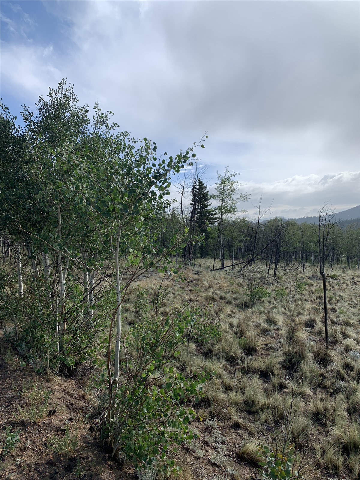 540 Vulture Lane Property Photo 3