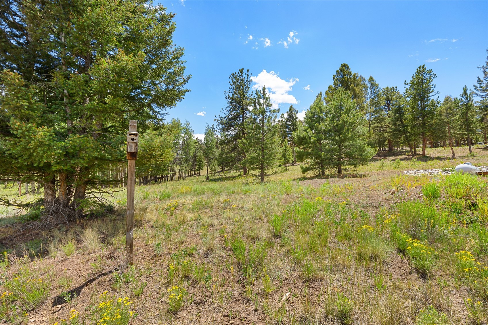 1855 Windmill Drive Property Photo 14