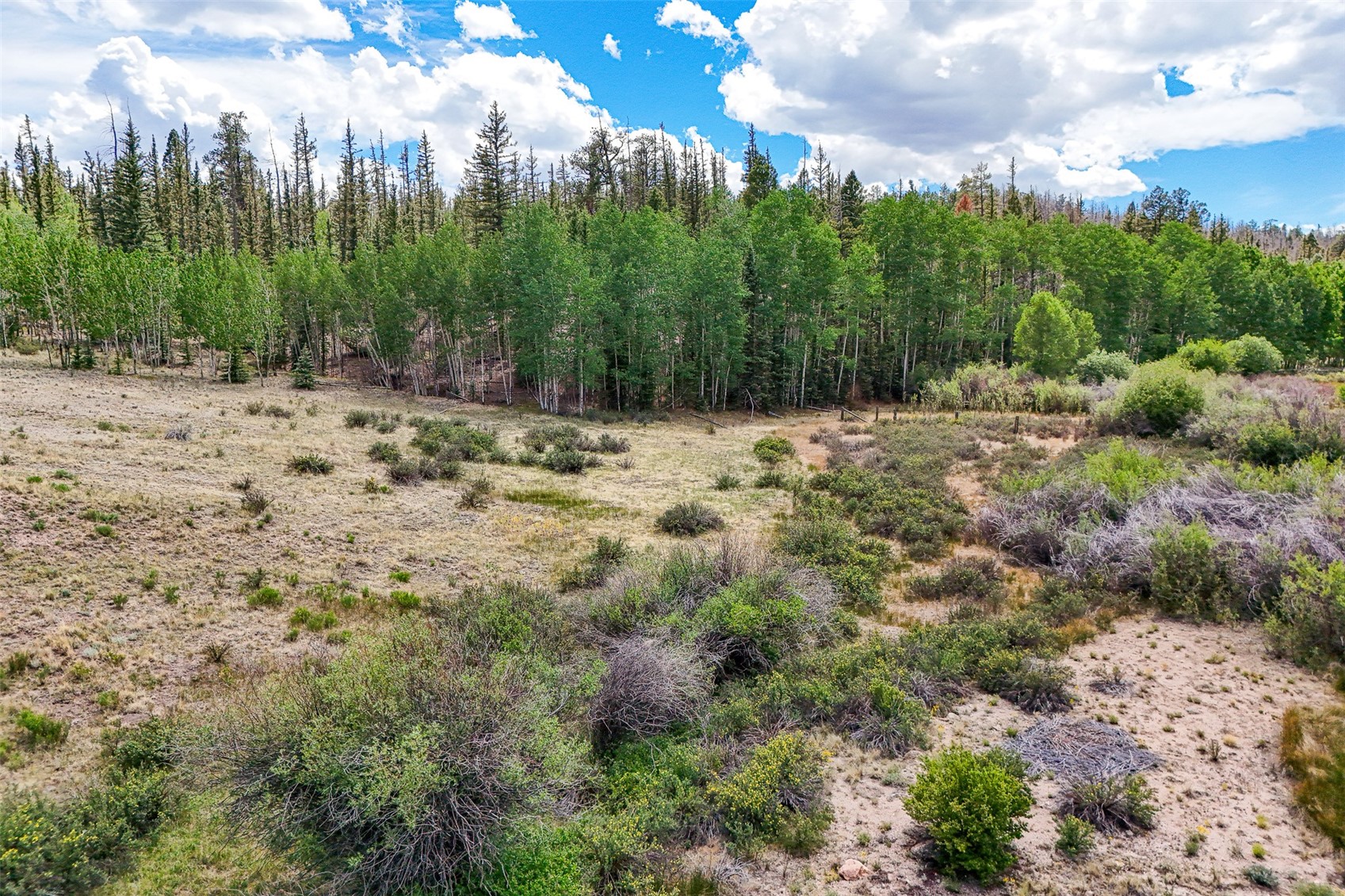 1111 Latigo Loop Property Photo 3