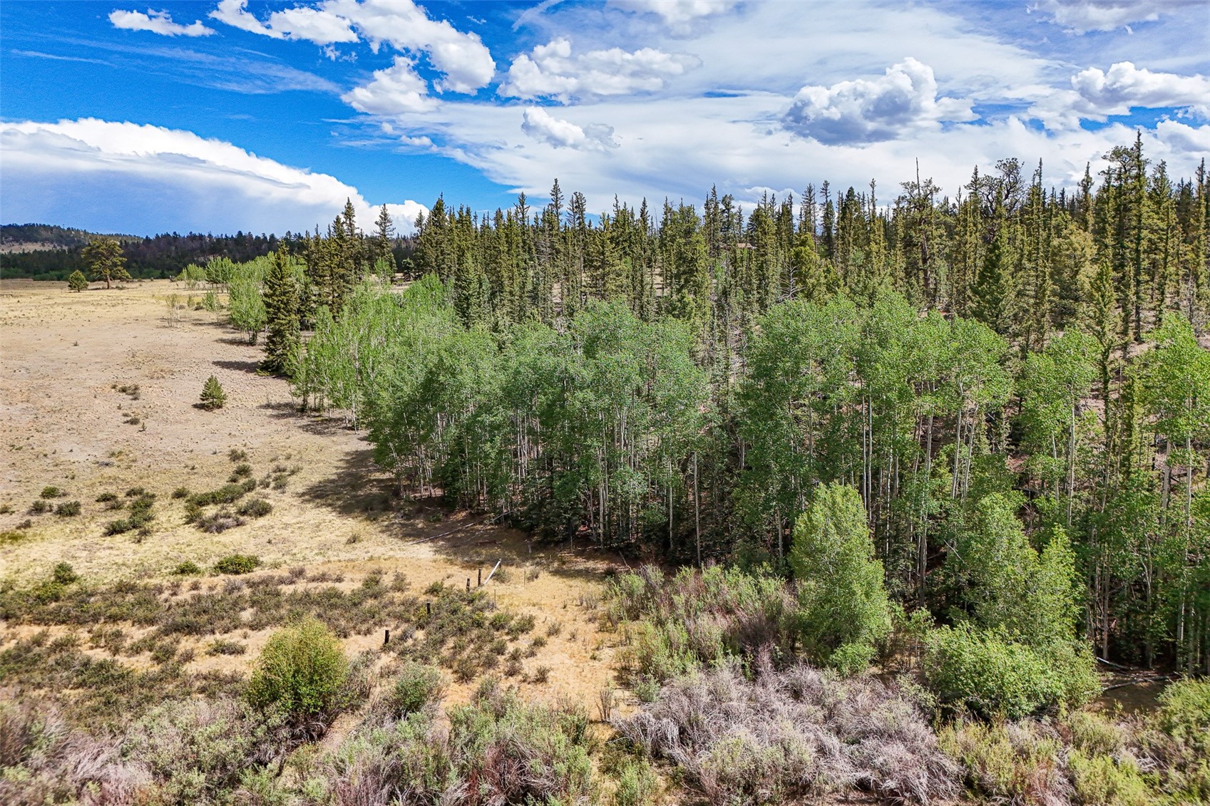 1111 Latigo Loop Property Photo 4
