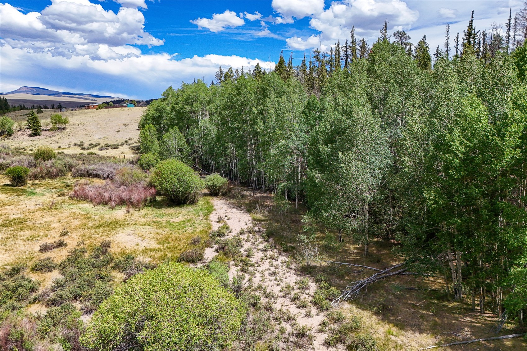 1111 Latigo Loop Property Photo 8