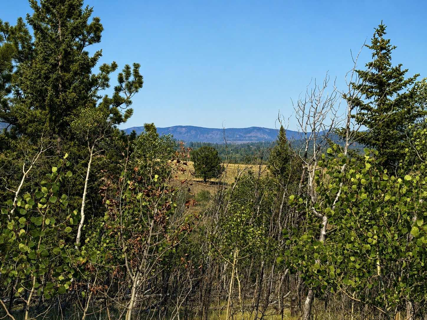 250 Pinto Trail Property Photo