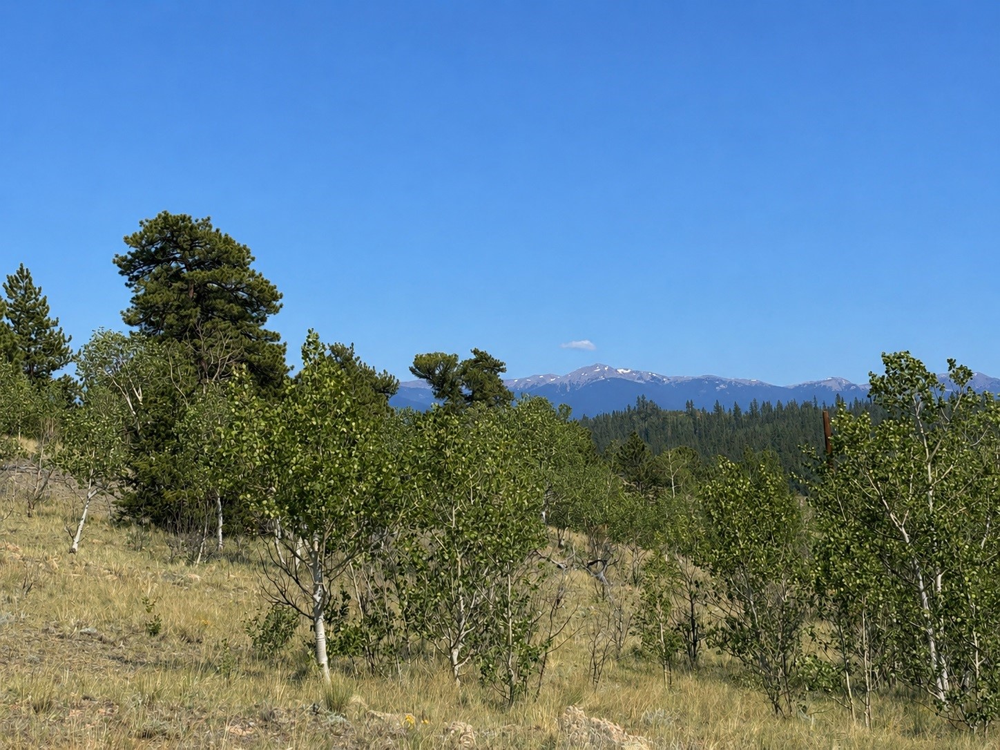 250 Pinto Trail Property Photo 2