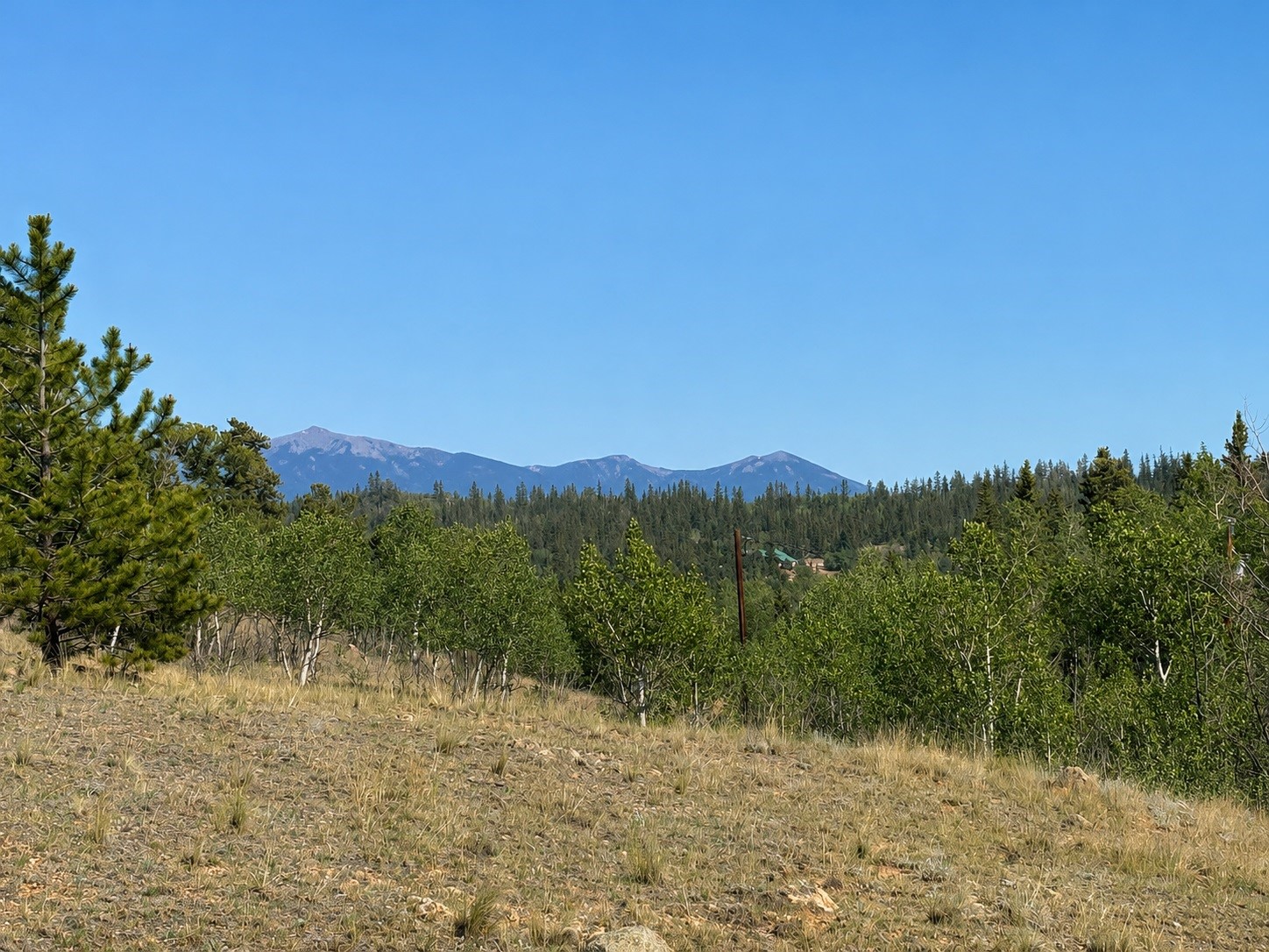 250 Pinto Trail Property Photo 3