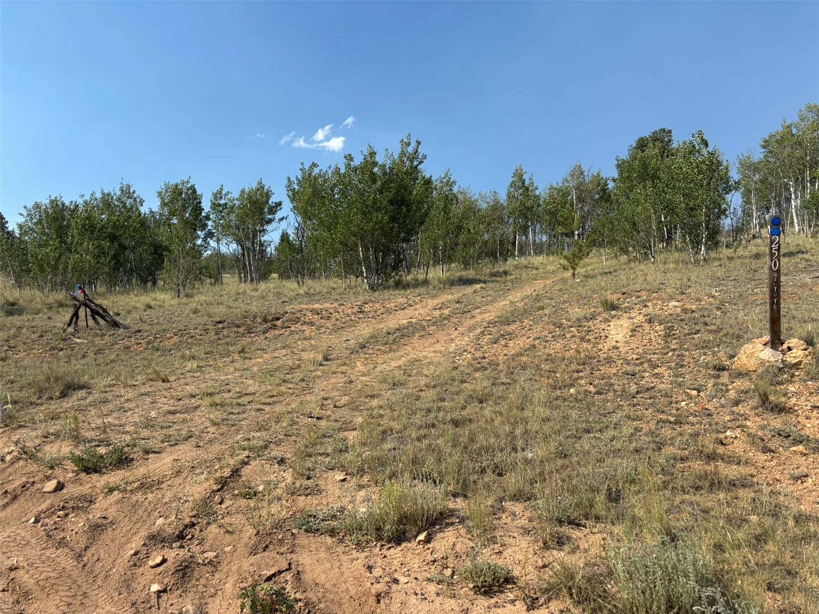 250 Pinto Trail Property Photo 4