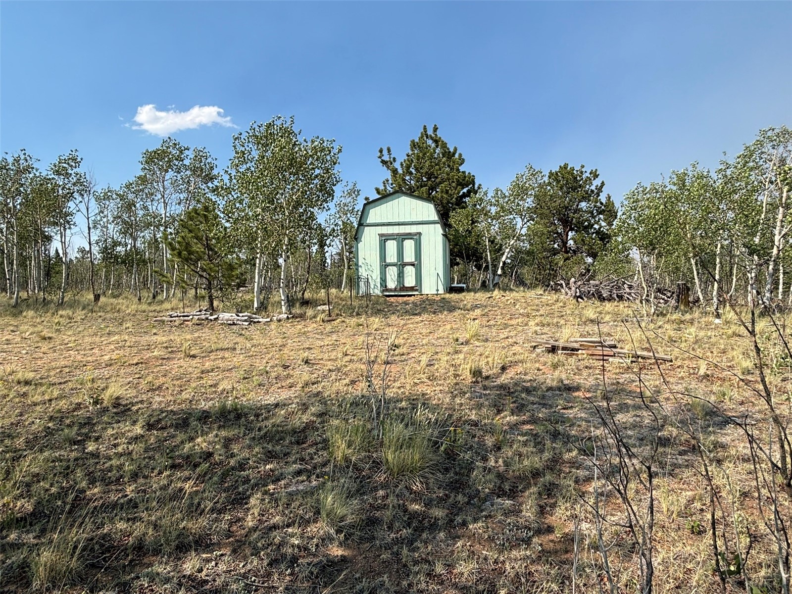 250 Pinto Trail Property Photo 9