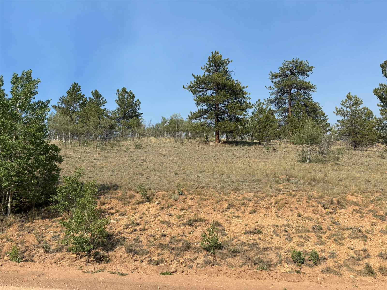 250 Pinto Trail Property Photo 10