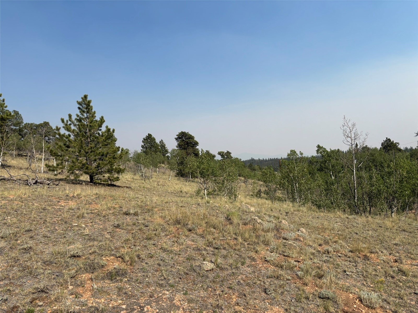 250 Pinto Trail Property Photo 11