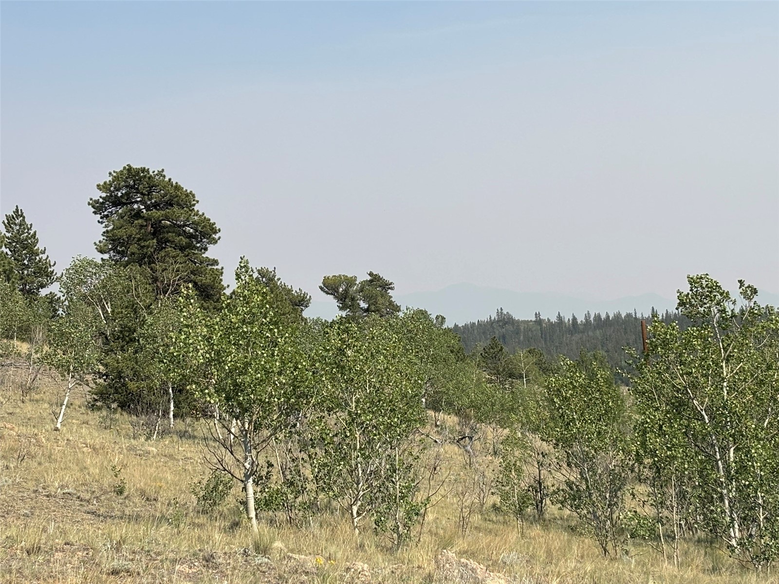 250 Pinto Trail Property Photo 12