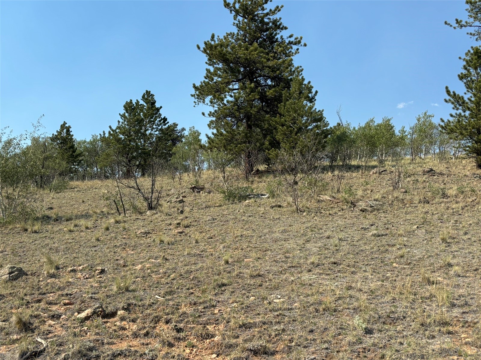 250 Pinto Trail Property Photo 14