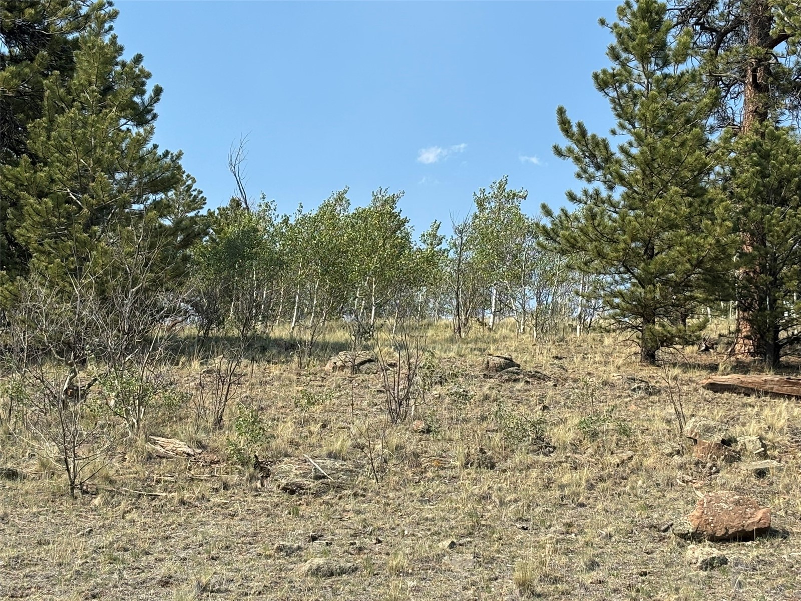 250 Pinto Trail Property Photo 15