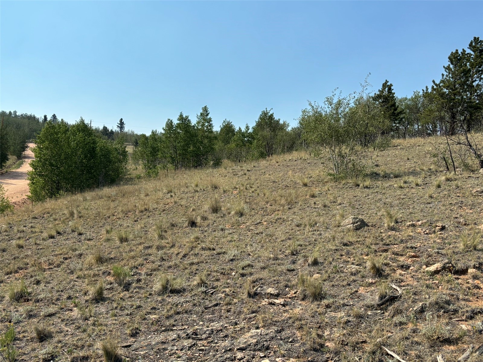 250 Pinto Trail Property Photo 16