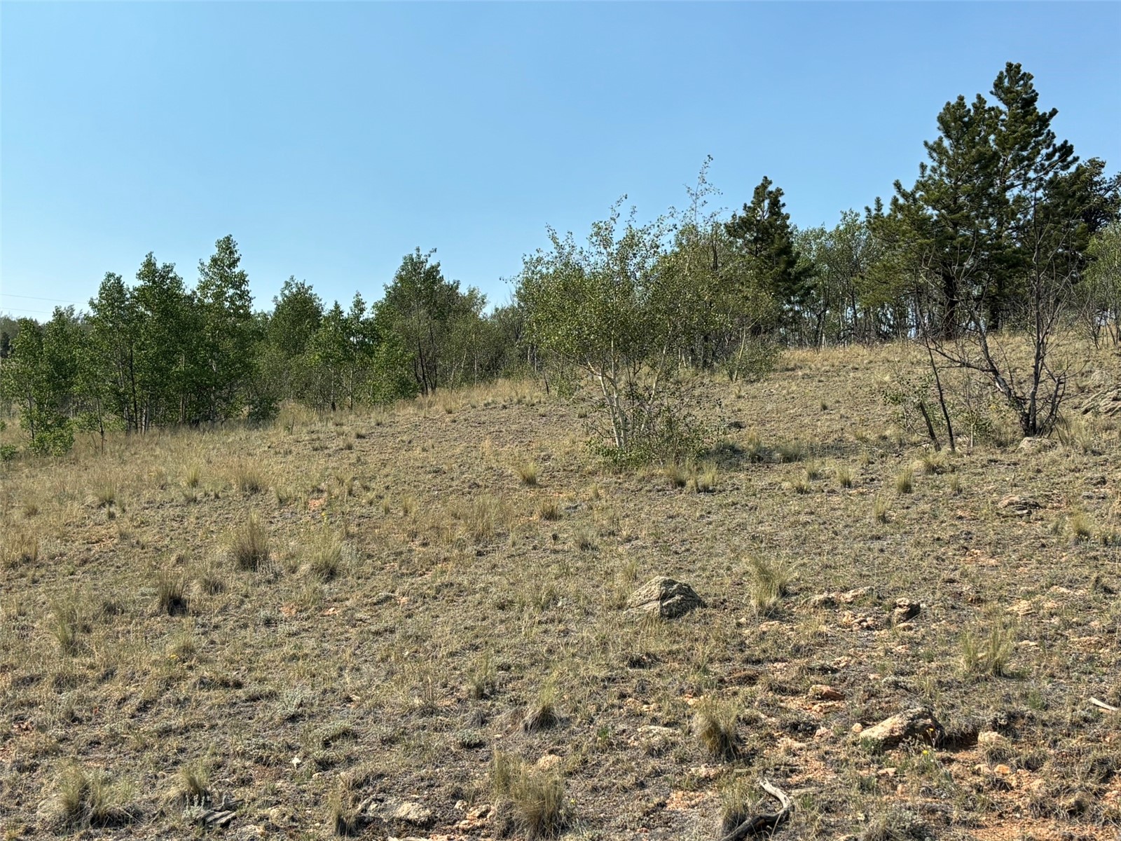 250 Pinto Trail Property Photo 17