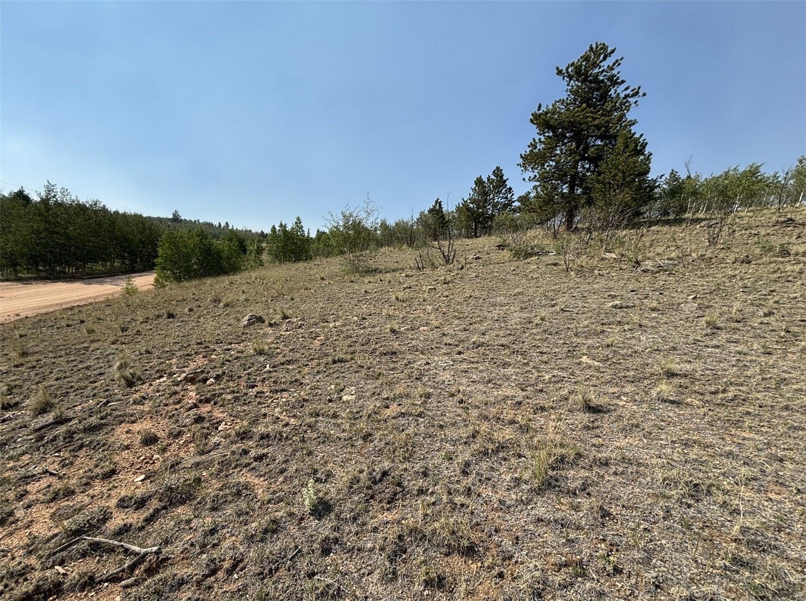 250 Pinto Trail Property Photo 19