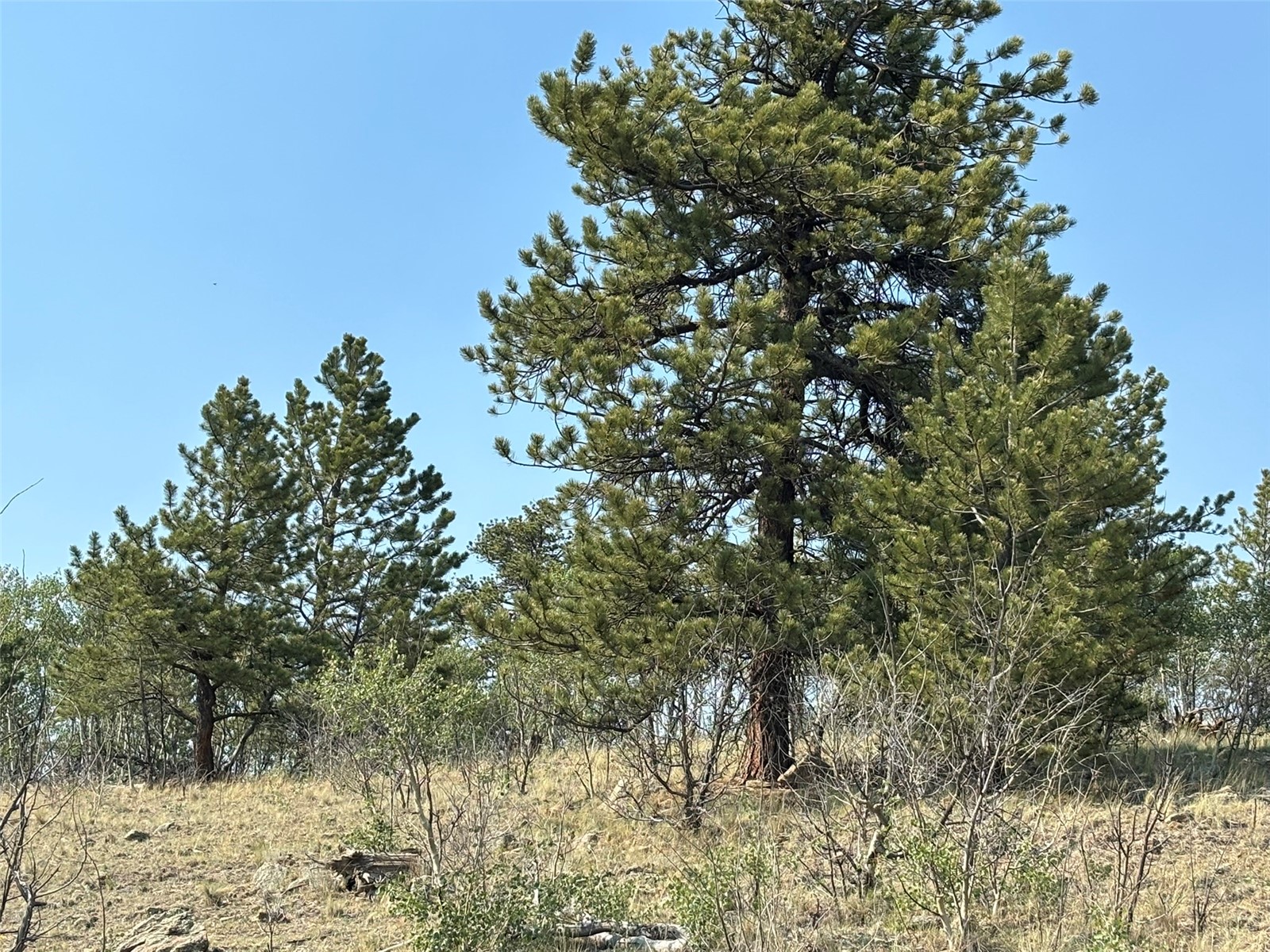 250 Pinto Trail Property Photo 21