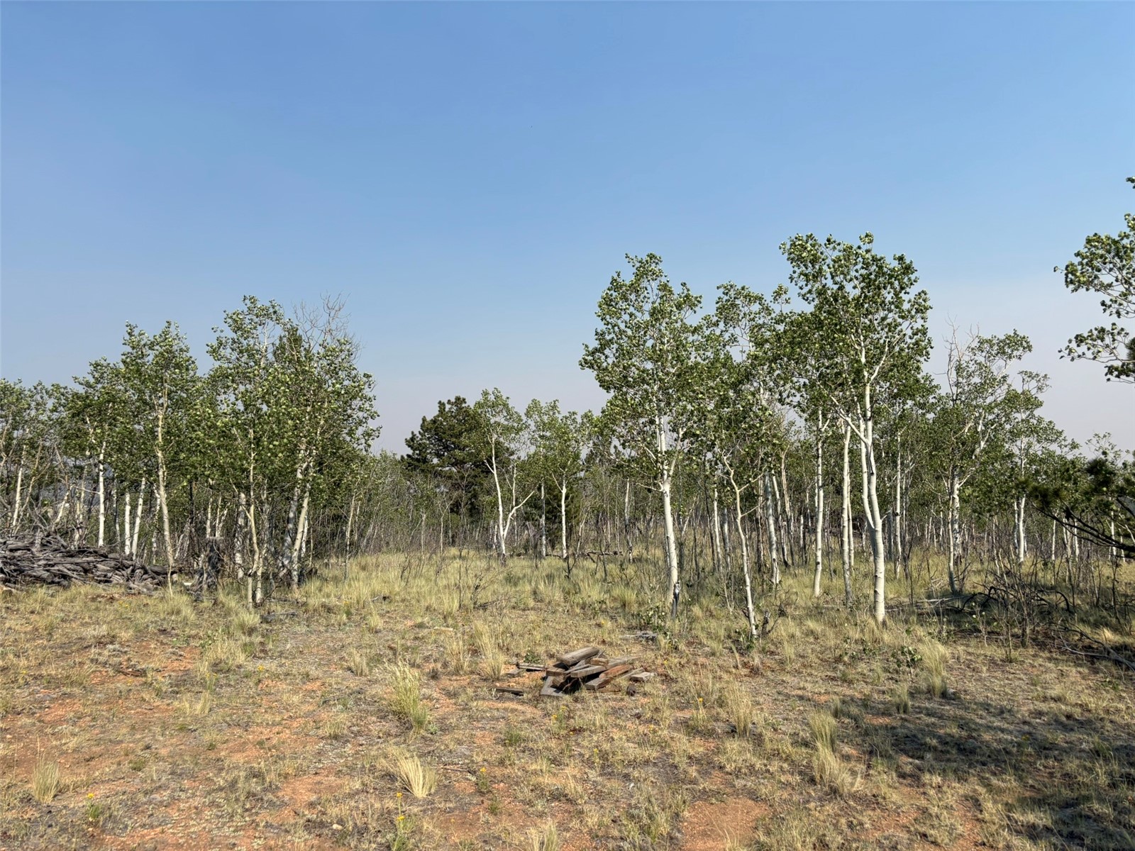 250 Pinto Trail Property Photo 23