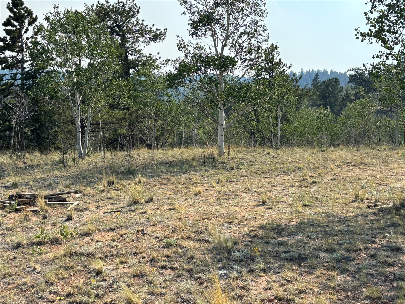 250 Pinto Trail Property Photo 24