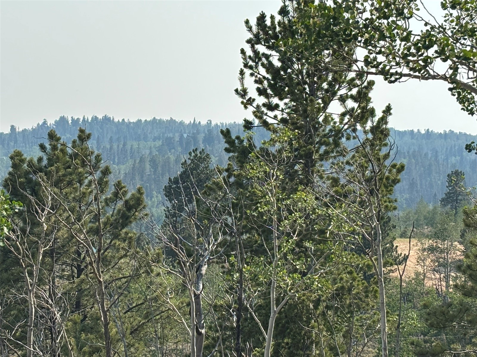 250 Pinto Trail Property Photo 26