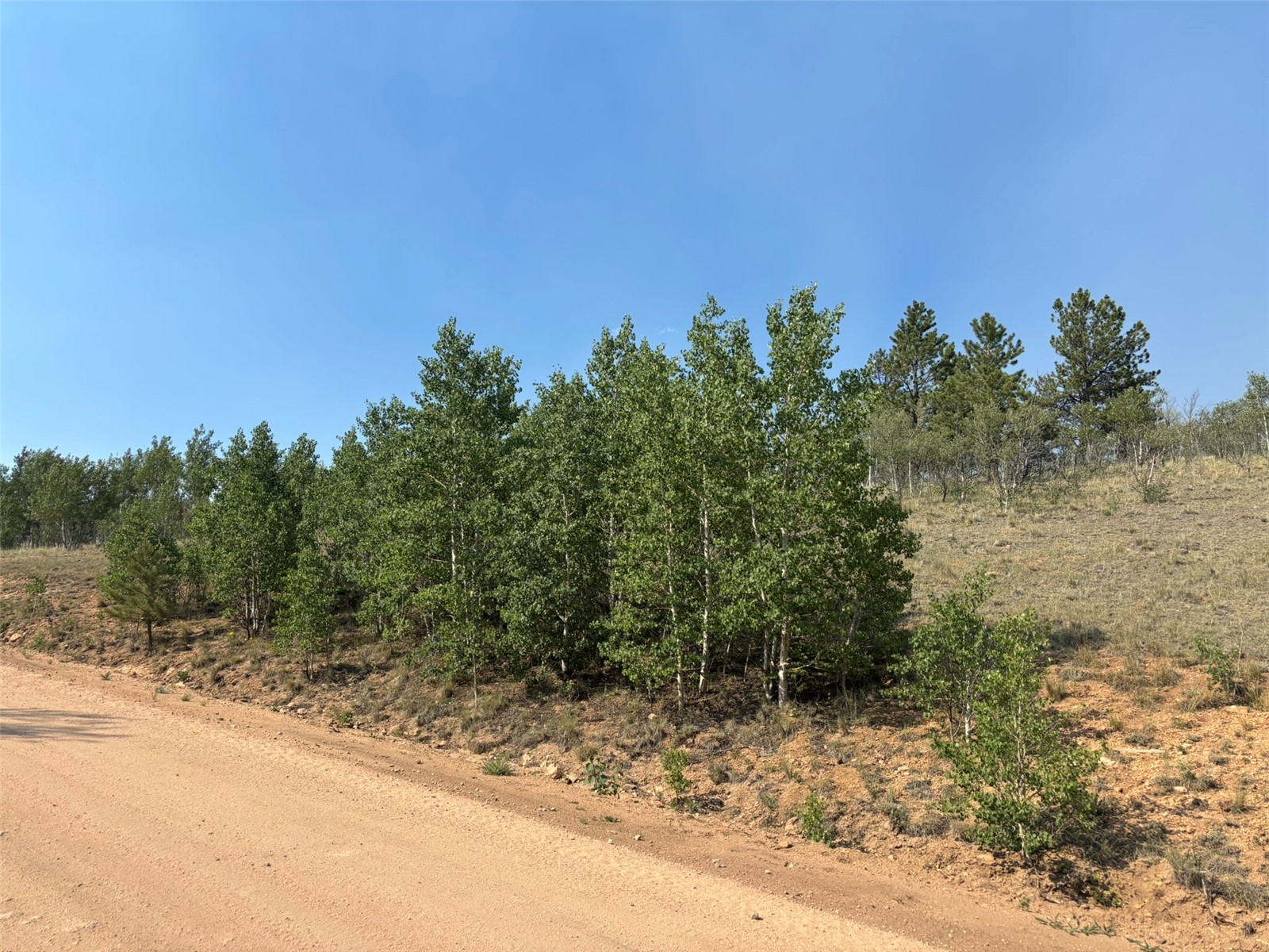 250 Pinto Trail Property Photo 27