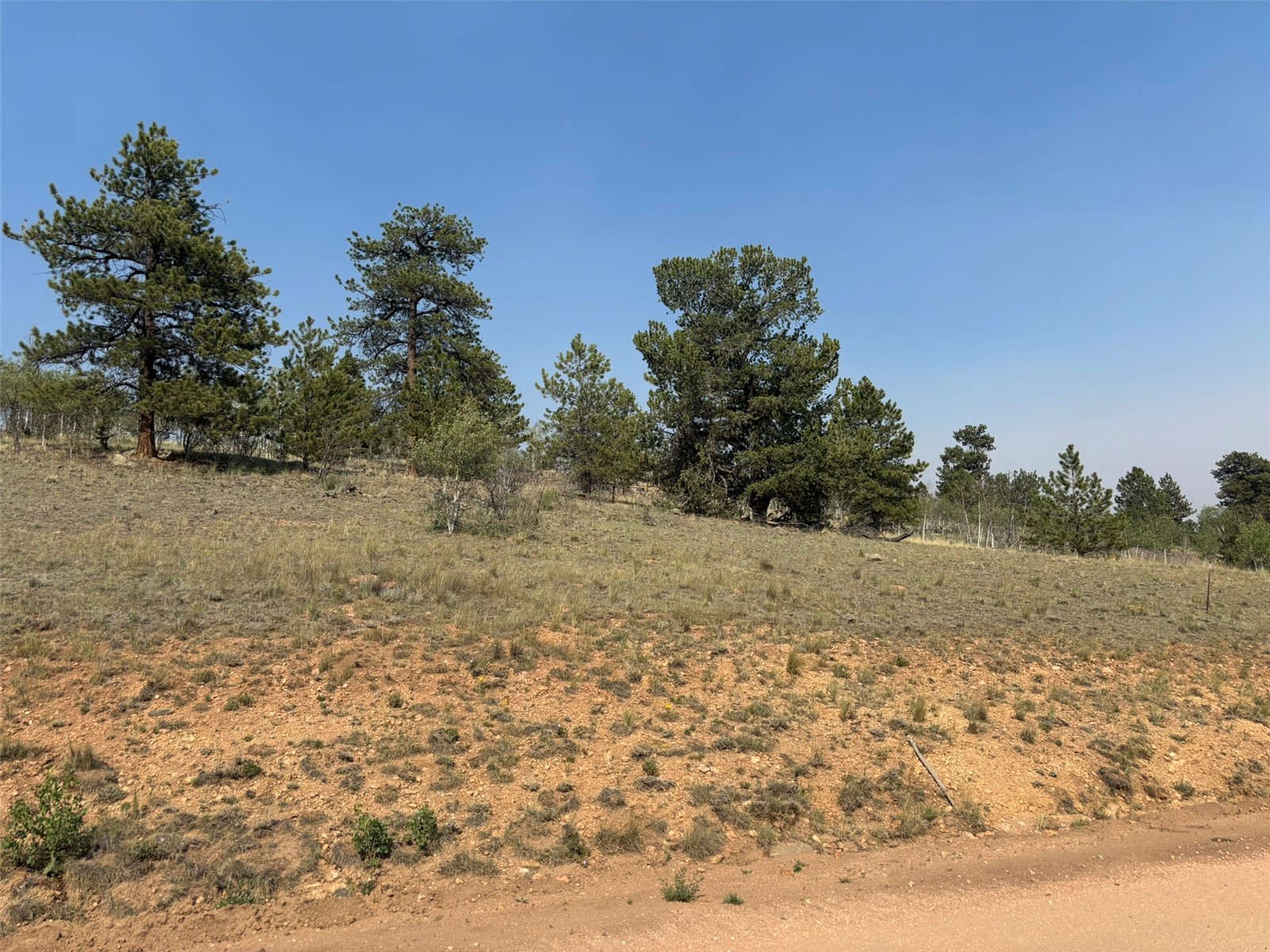 250 Pinto Trail Property Photo 28